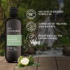 Baylis & Harding Men's Natural Shower Gel 500 ml Goodness
