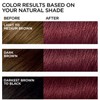 L'Oreal Paris Feria Multi-Faceted Shimmering Hair Color, 41 Crushed Garnet