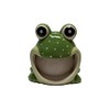 Ceramic Sponge/Scrubbie Holder (Frog)