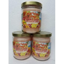 Smoke Odor Exterminator 13oz Jar Candle, Maui Wowie Mango, 13 oz (3)