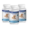 PET SUPPLEMENTS Immune System Support for Dogs - Dogs Immune