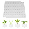 Mirhua Sponge, Soil Free Cultivation Pot, Vegetable Planting Sponge, Medium