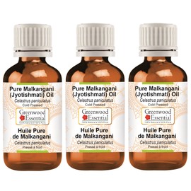 Greenwood Essential Pure Malkangani (Malkangni/Jyotishmati) Oil (Celastrus Paniculatus) Natural Therapeutic Quality Cold Pressed (Pack of Three) 100 ml x 3 (10 oz)