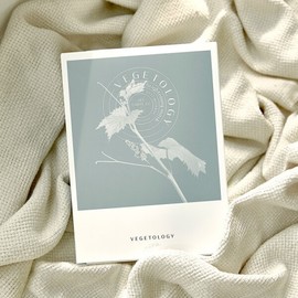 Bean Ferrin Brightening Mask 10 purchases / 비니페린 브라이트닝 마스크 10매입