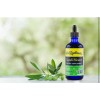 Dr. Rydland's Herbal Supplement | Created by KidsWellness |CandiBiome Exp