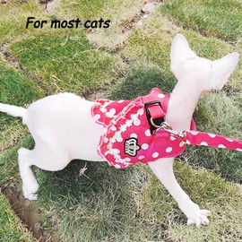 ANIAC Polka Dots Dog Harness Dress and Leash Set Step in Puppy Harness for Small Dog Breathable Mesh Padded Cat Vest Harness for Kitten Pug Pomerania Yorkie Chihuahua (Red, Large)
