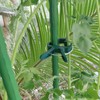 RAFIYU Pack of 120 Plant Clips, Plant Holders for Trellis