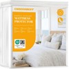 CHOEGOBEST Mattress Protector Noiseless, Ultimate Comfort, Waterproof, 2024 Luxury Premium