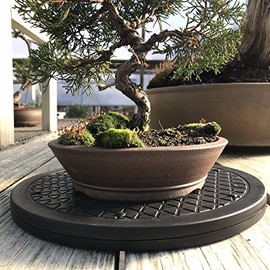Mighty Mini Bonsai Tree Turntable 10" Base Stainless Steel Low Cost 200-Pound Capacity 360-Degree Rotation Allows Easy Pruning Or Great Bonsai Tree Displays