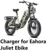 Coming DATA ac adapter 3a battery Charger for Eahora Juliet,