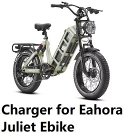 Coming DATA  ac adapter 3a battery Charger for Eahora Juliet, Romeo Pro, Juliet III