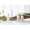 Soothes oily troublesRosemary Skin Lotion Set No Stickiness Refreshing Oil