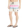 Quiksilver Men's Standard Resin Tint PCS Volley 17 Swim Trunks,