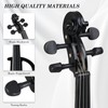 Ktaxon Full Size Electric Violin, 4/4 Acoustic Silent Electric Violin