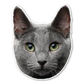 Magnet America Russian Blue Cat Magnet is 6.1" x 4.9" Made for Vehicles and Refrigerators