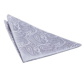 DQT Premium Woven Microfibre Paisley Patterned Silver Men's Fashion Wedding Handkerchief Pocket Square Hanky Accessory