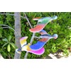 Balancing Bird Toy 6.5 Inch Wing Span-Colors May Vary by