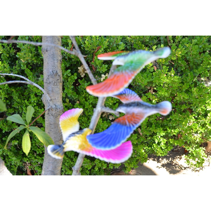 Balancing Bird Toy 6.5 Inch Wing Span-Colors May Vary by