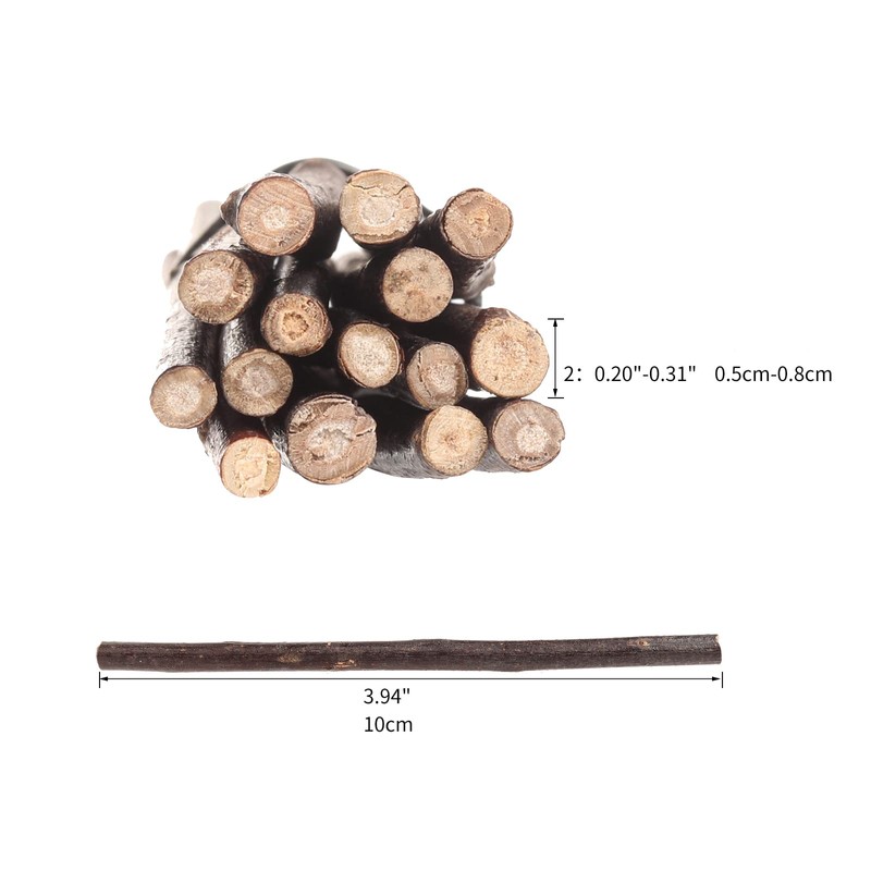 LAZACA Wooden Sticks Crafts Twigs for Crafting Natural Wood Unfinished