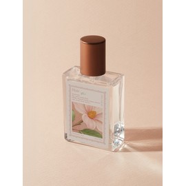 Atelier Pay blair 30ml / 아뜰리에페이 blair 30ml