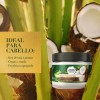 Mascarilla Intensiva para cabello Herbal Essences Leche de Coco y