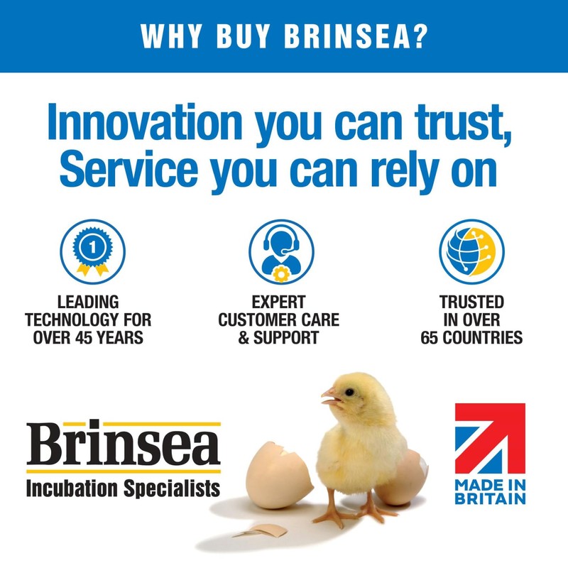 Brinsea Large Egg Carriers for Ovation 56 Incubator, Optional Accessory