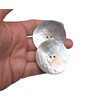 BOTIBOTON - Mother of Pearl Buttons Made of Shell Buttons