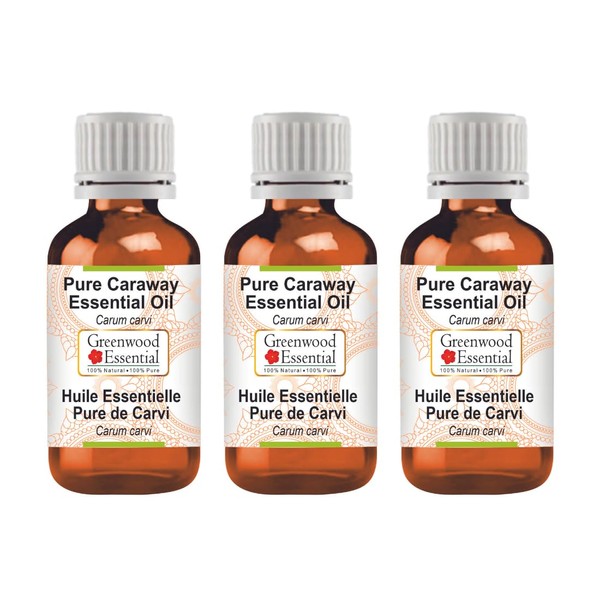 Greenwood Essential Pure Caraway Essential Oil (Carum Carvi) Natural Therapeutic Quality Steam Distilled (Pack of Three) 100 ml x 3 (10 oz)