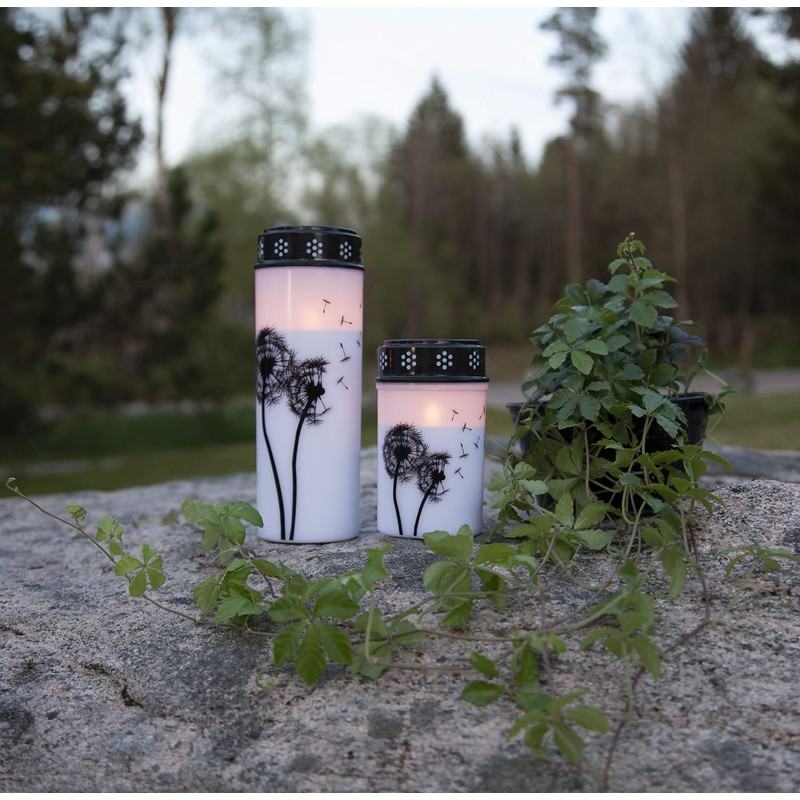 Star Dandelion LED Grave Light White / Black