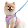 rabbitgoo Dog Harness Small Sized and Leash Set, Step-in Breathable