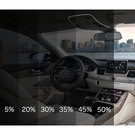 PROTINT WINDOWS 40% Shade Color 20 Inches by 10 Feet Window Tint Film Roll, for Privacy and Heat Reduction