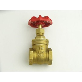 MF Gate Valve 20A