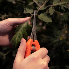 Closest Positive Ultra Light Stainless TP – 530S