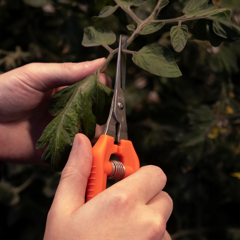 Closest Positive Ultra Light Stainless TP – 530S