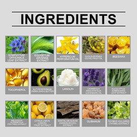 ETUIH Organic Herbal Salve, Comfrey Organic Herbal Salve Cream Ointment 4oz (1PCS)