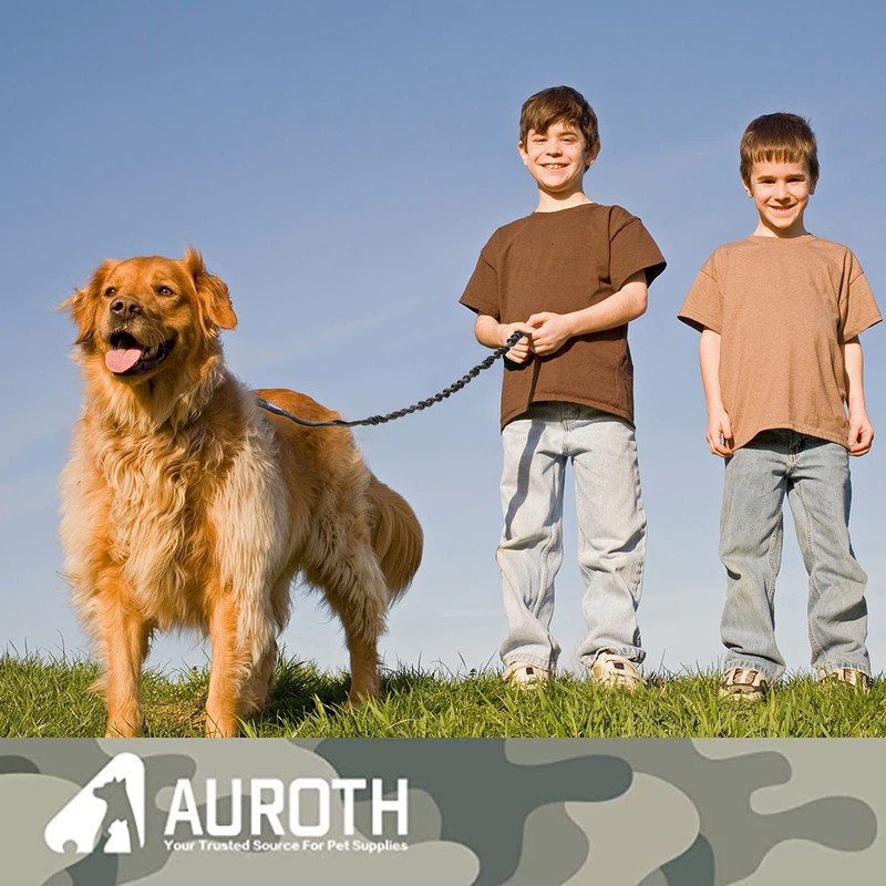 AUROTH Heavy Duty Bungee Dog Leash for Medium Large Breed
