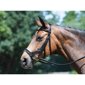 BUSSE Trense FEELING