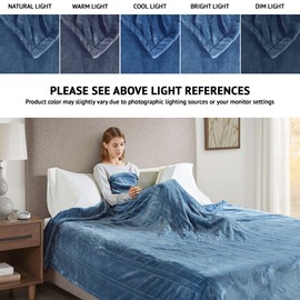 Beautyrest Plush Electric Blanket for Cold Weather, Fast Heating, Auto Shut Off, Virtually Zero EMF, Multi Heat Setting, UL Certified, Machine Washable, Sapphire Queen (90 inx84 in)