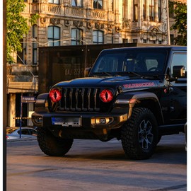 Beast Eyes Headlight Decals Pair, Eyes Decal for Jeep Headlights, Round Headlight Decal,3D Stereo Eyes Headlight Decal Stickers, Funny Decals for Truck Car Body Window Bumper Decoration (#01)