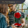 MAMAMIKO Forever Real Rose in a Glass Dome,Eternal Red Roses