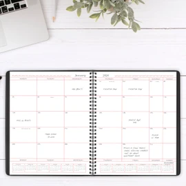 AT-A-GLANCE 2026 Planner, Monthly, 8" x 10", Large, Black (701300526)