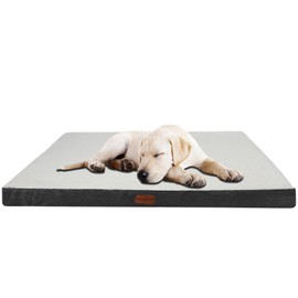 Dungwei Large Dog Bed with Washable Removable Cover & Egg Crate Foam, 44" x 32" x 3" Blue White