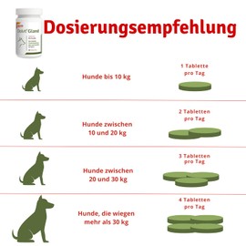 DOLFOS PETS - Dolvit 60 Gland - Ergänzung für Haustiere zur Unterstützung der Perianaldrüsen - Fördert gesunde Stuhlbildung - Mit Kräuterextrakten, Smektit und Präbiotika (60 Tabletten)
