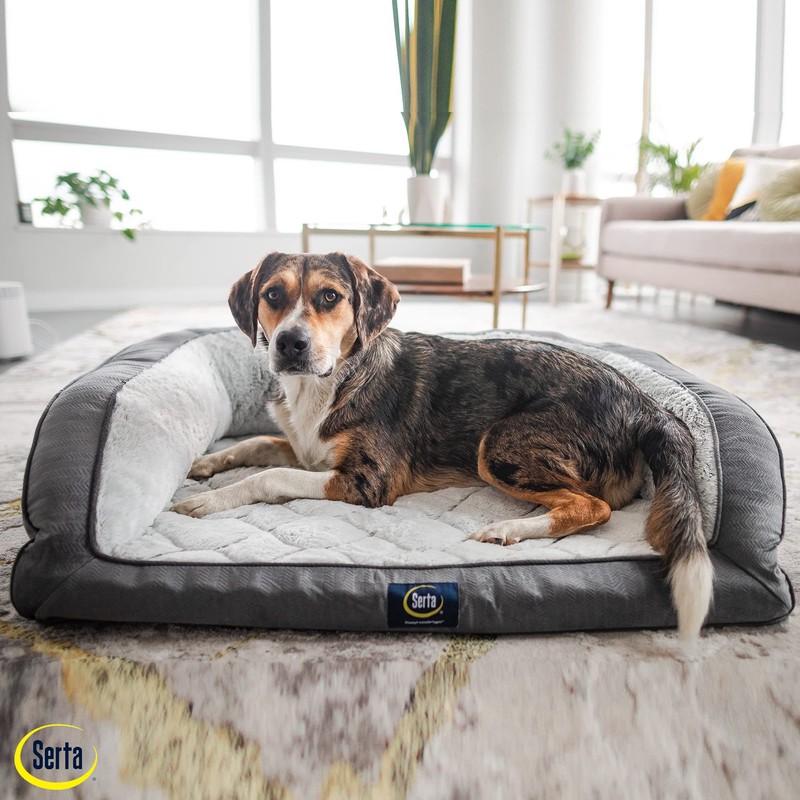 Serta Orthopedic Quilted Couch Dog Bed for Pets – Slate