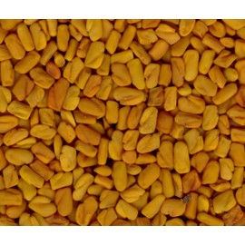 100% Natural Fenugreek Seeds Powder for LONG HAIRS NATURALLY by Malvaniya Herbal Care (100 g) (Only For External USe)