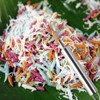 Coconut Grater Fish Remover Hand Coconut Meat Scraper Shredder Peeler