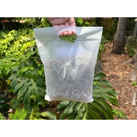 Photon Reef Live Flowering Spanish Moss Hanging on Oak Branch - Tillandsia Indoor Air Plant