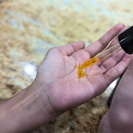 Mambino Organics Youth Glow Balancing Serum – Organic, Face Serum with Tunisian Prickly Pear – Nourishing Omegas & Vitamin C for Oily, Blemish-Prone Skin – Cruelty-Free Skin Care, 3-Pack 1 fl oz