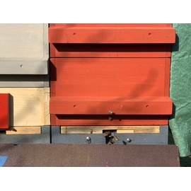 HAresil Bag Protection Colour Glaze Bag Protection Bee Bag Colour Eco Non-Toxic Green 0.5 kg