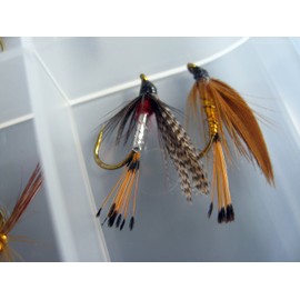 BestCity Fly Fishing for Trout BARBLESS MIXED SEASON SELECTION 20 Flies in set DRY WET NYMPH FREE Clip shut Fly Box